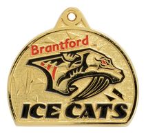 medal-award-medals-awards-gold-silver-bronze-medals-near-me-custom-laser-neck-ribbon