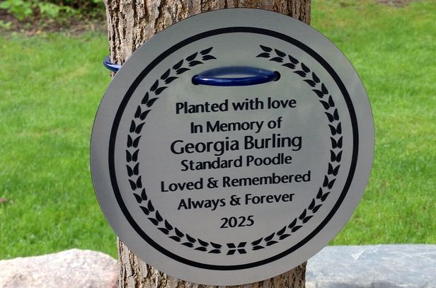 memorial-gold-plates-silver-plate-outdoor-sign-bench-wall-rock-grave-stone-laser-park-bench-tree