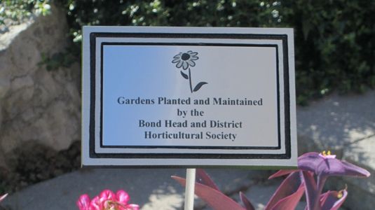 memorial-gold-plates-silver-plate-outdoor-sign-bench-wall-rock-grave-stone-laser-park-bench-tree