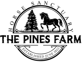 The Pines Horse Farm & Sanctuary