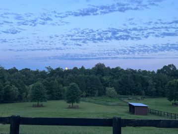 The moon rising over the pastures!