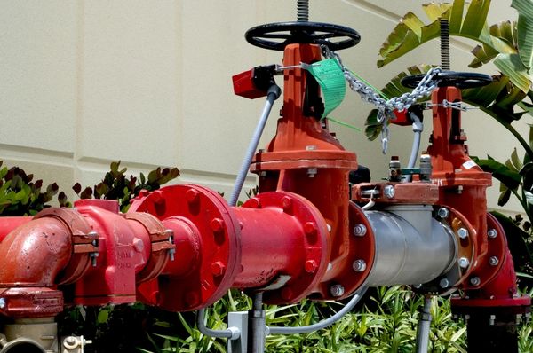 Backflow Preventer
