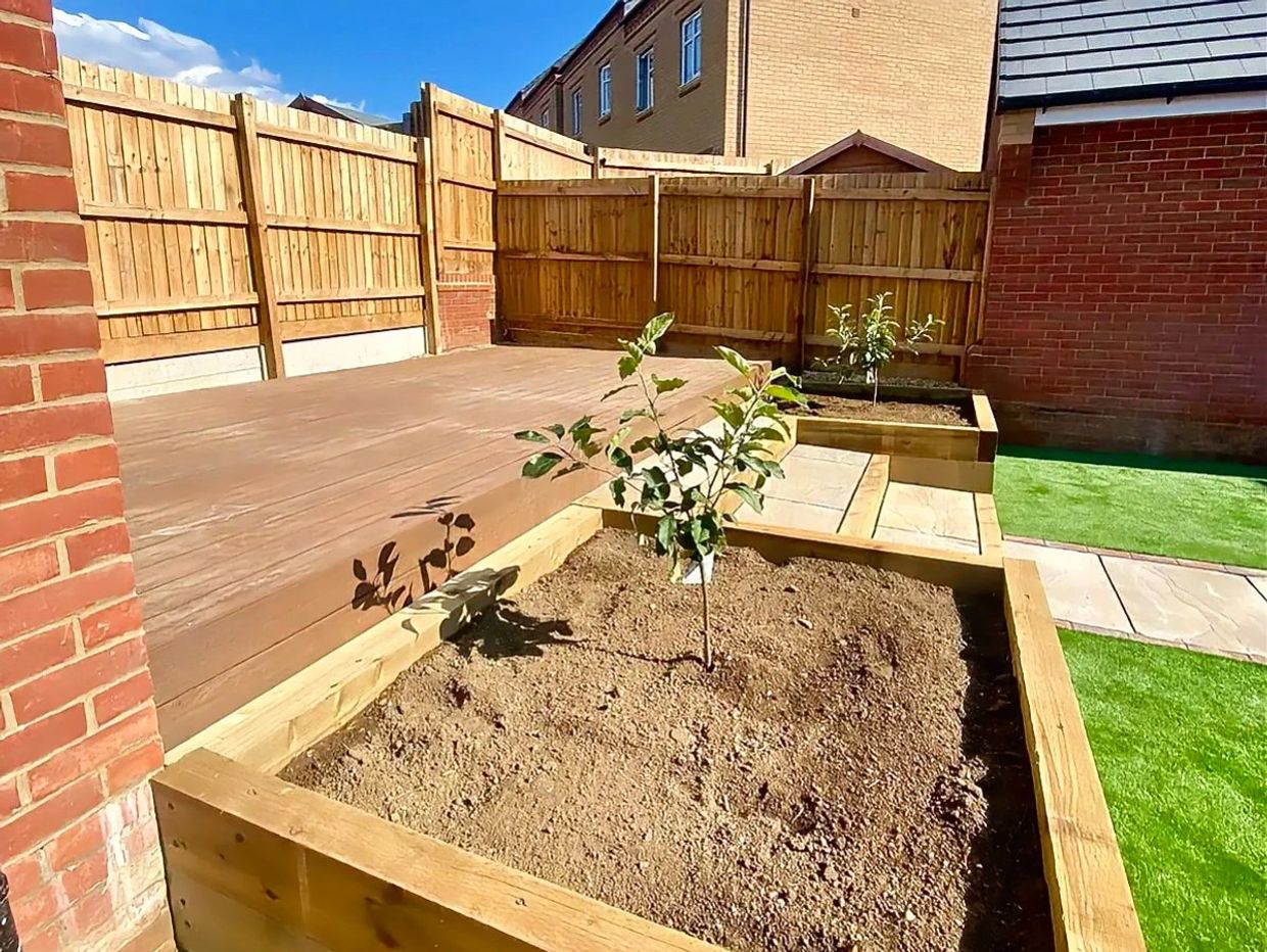 Small garden beds with young plants under bright sunlight.