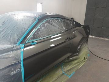 Mustang after being painted