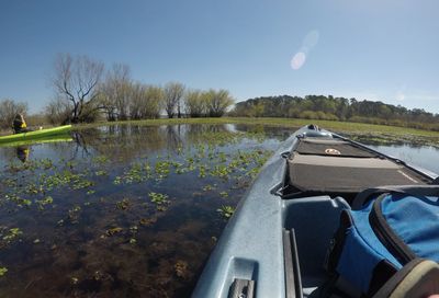Toledo Bend Six Mile Creek Kayaking Tour with Toledo Bend Outfitters
