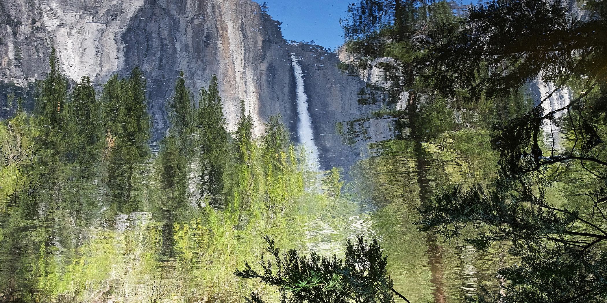 Reflection of Yosemite Upper Falls in the River, with tree branches between the reflection & camera 
