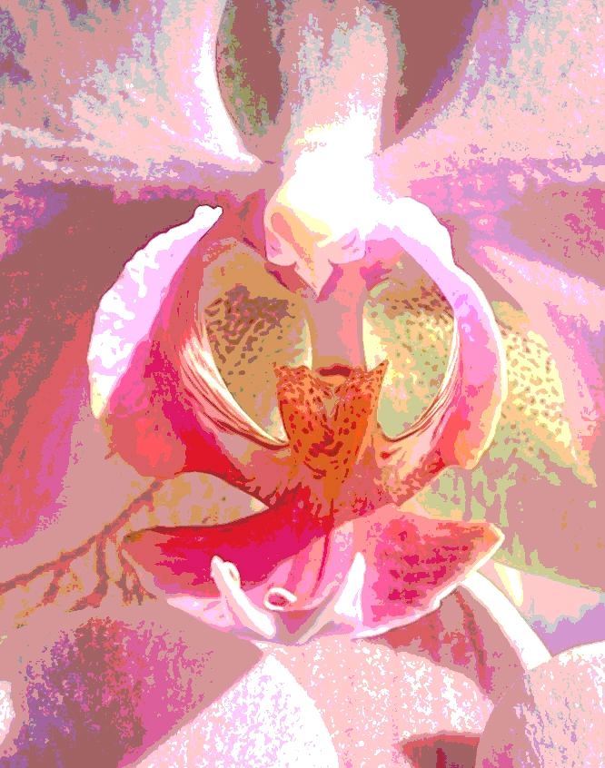 Abstract, close-up, of an orchid, bird, bird in an orchid, pink, lavender, fuchsia, dreamy image