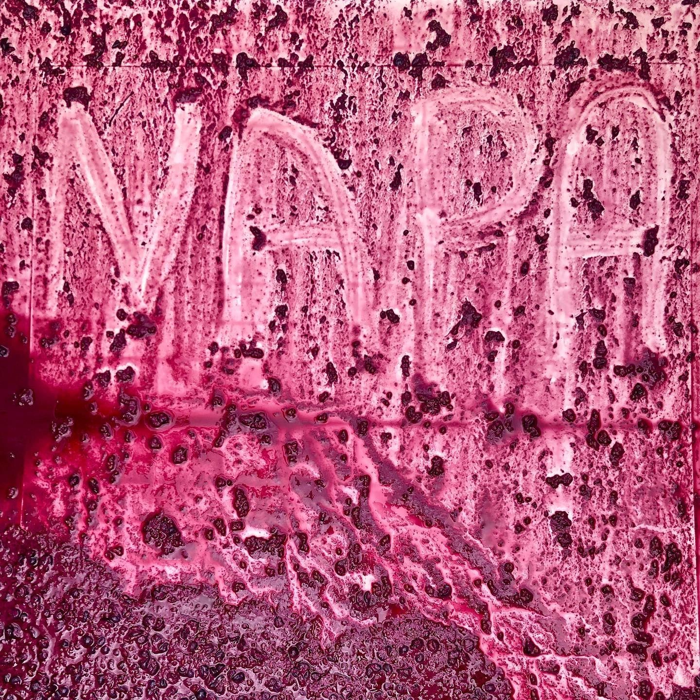 The bottom of a macro bin covered with the remnants of cabernet that had just been fermented in Napa