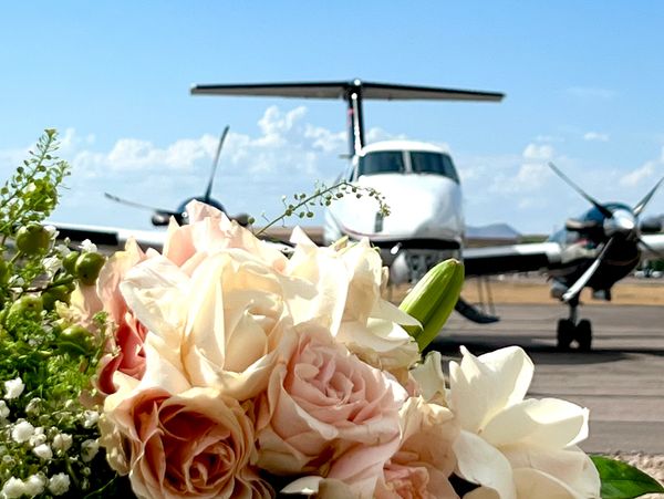 Unparalleled views in Mesa AZ at Falcon Field. Unique and gorgeous event and wedding venue location.