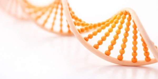 Close-up of an orange DNA double helix model on a white background.