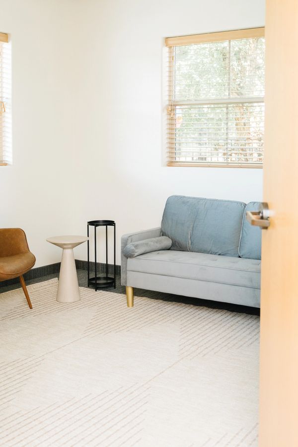 Minimalist living room with a gray sofa, brown chair, and neutral-toned rug.