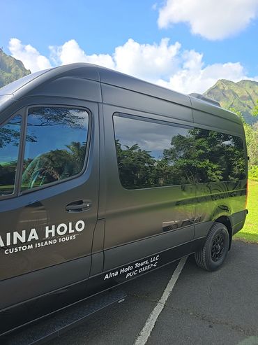 Black tour van with scenic mountain and sky reflection.