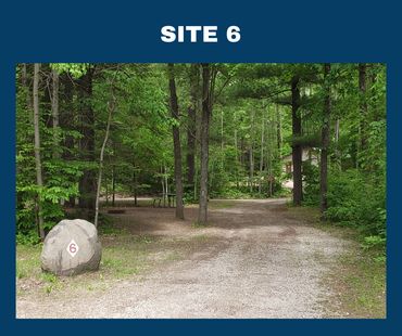 Site 6
