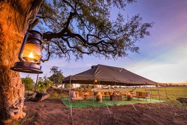On safari with Afrika Ecco Safaris