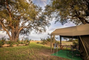 On safari with Afrika Ecco Safaris
