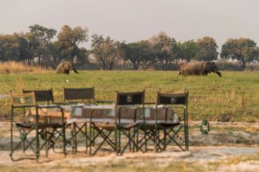 On safari with Afrika Ecco Safaris