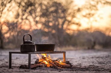 On safari with Afrika Ecco Safaris