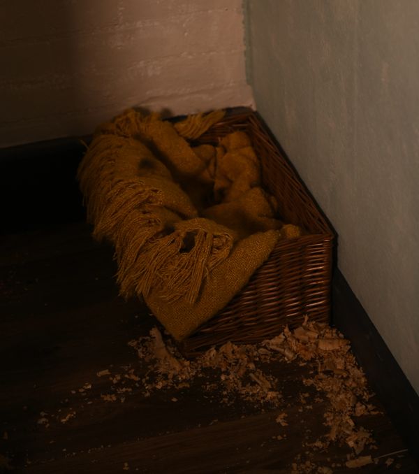 Dog bed in corner