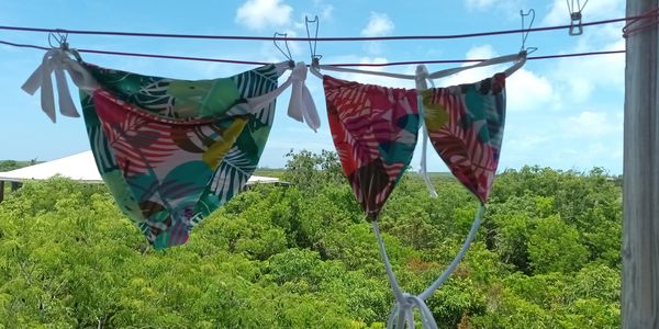 Colorful bikini bottoms hanging on a clothesline against a green landscape.
