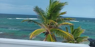 Palm trees by a sandy beach with a clear blue ocean under a cloudy sky.