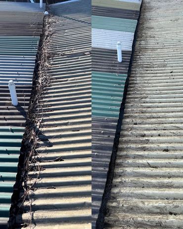 Gutter Cleaning