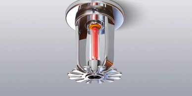 Close-up of a ceiling-mounted fire sprinkler with a red bulb.