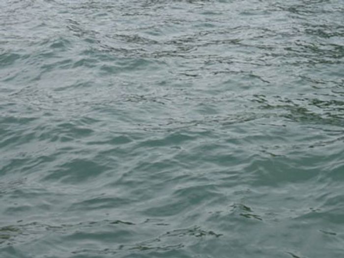 image79