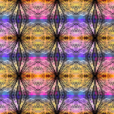 A spectrum of prismatic and joyful colors and subtle happy patterns. Colors include an array of pink