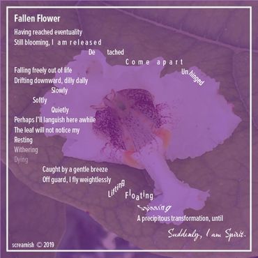 Fallen Flower