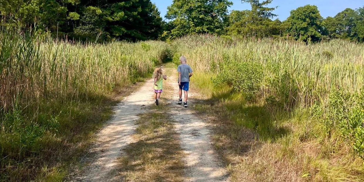 Two children walk down a sunny dirt path surrounded by tall grass and trees.