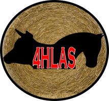 4Hooves Large Animal Services, LLC