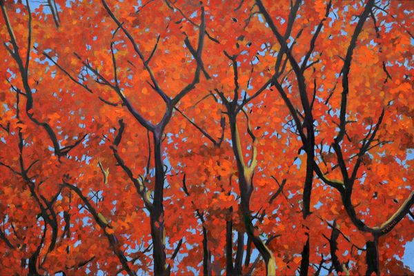 Oil painting of branches of a crepe myrtle tree in autumn.