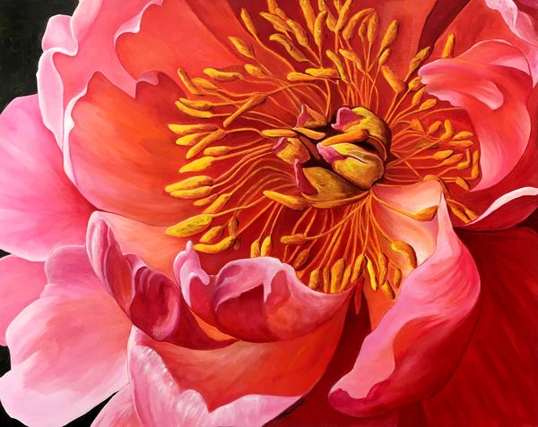 "Peony" - original oil painting by North Carolina artist Nancy L. Rawlinson.