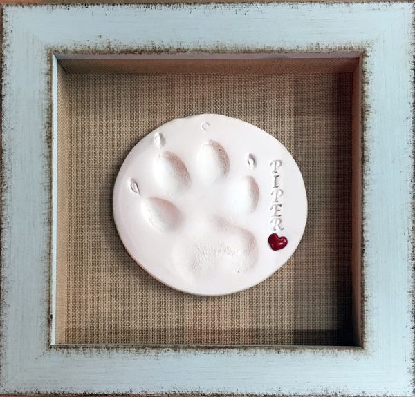 Memorial pet paw print in a shadowbox