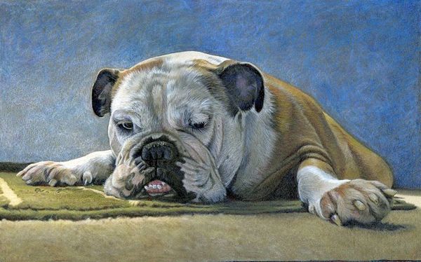 Commissioned pet portrait of a sleeping English bulldog.