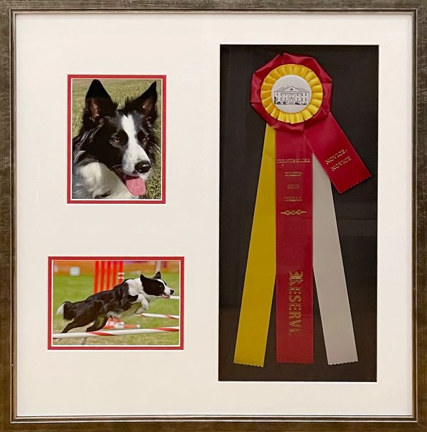 Grouping of photos of a dog performing agility and a show ribbon.