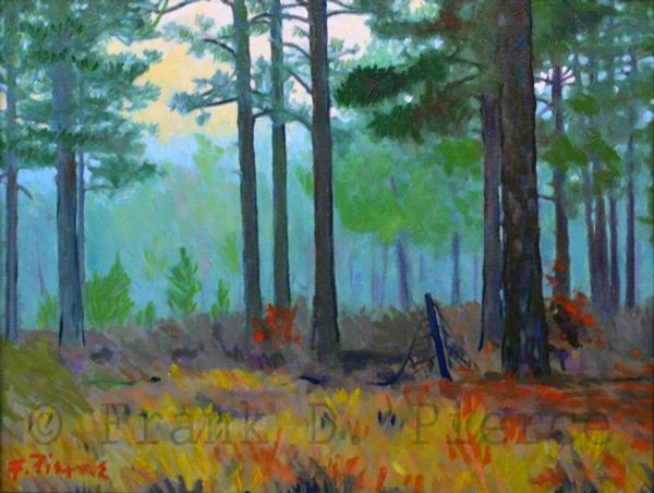 Oil painting depicting a dilapidated post and wire fence in the midst of a longleaf pine tract.