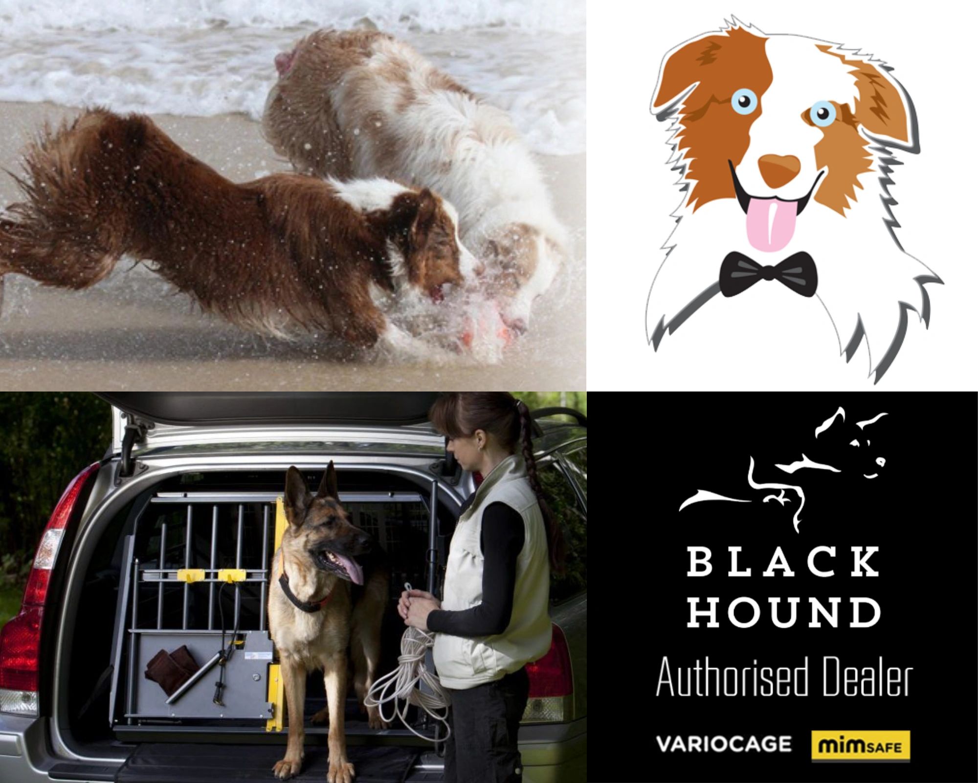 variocage single compact extra large