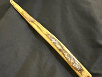 A wooden stick with patches of mold or decay.