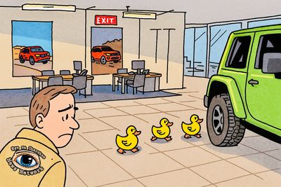 Ducks leaving car dealership