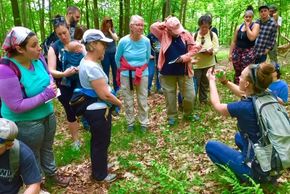 picture of group of people on plant walk