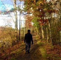 Wise Man on Bashsakill trail
