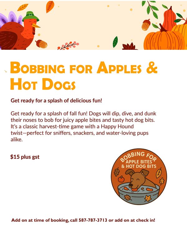 Bobbing for Apples Activity