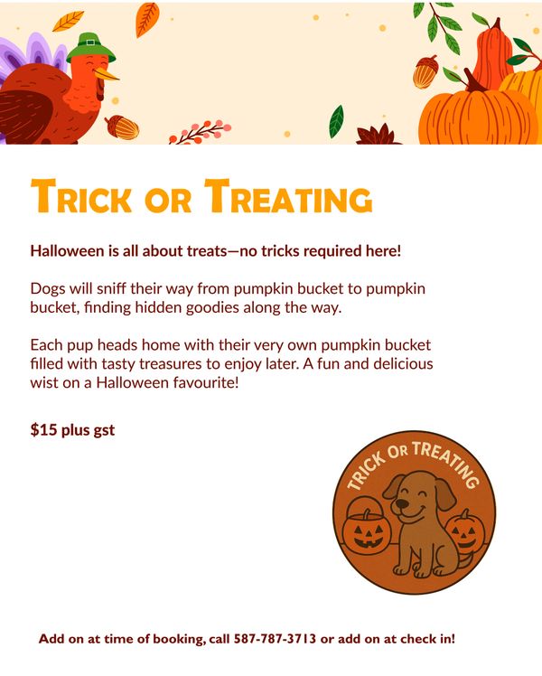 Trick or Treating Activity