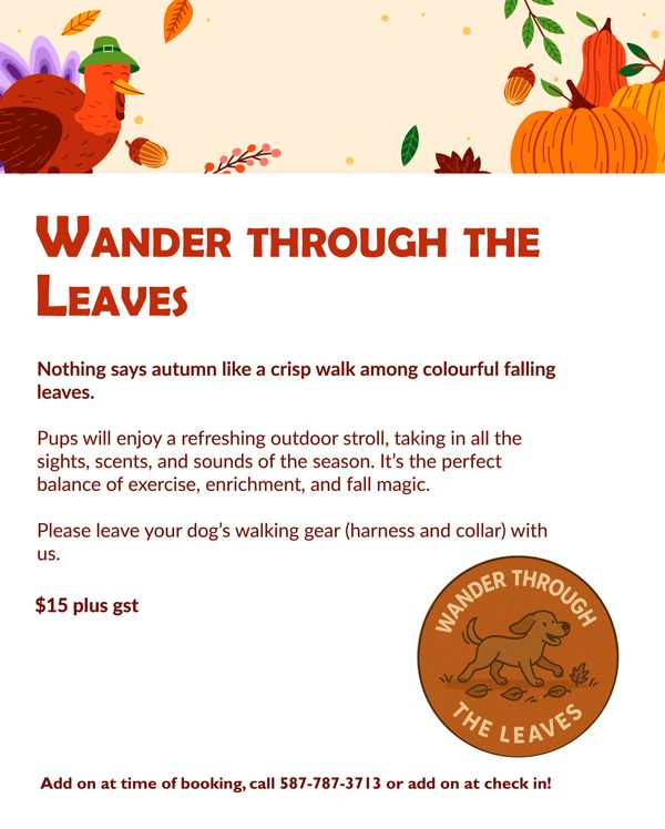 Wander Through the Leaves Activity Promotion