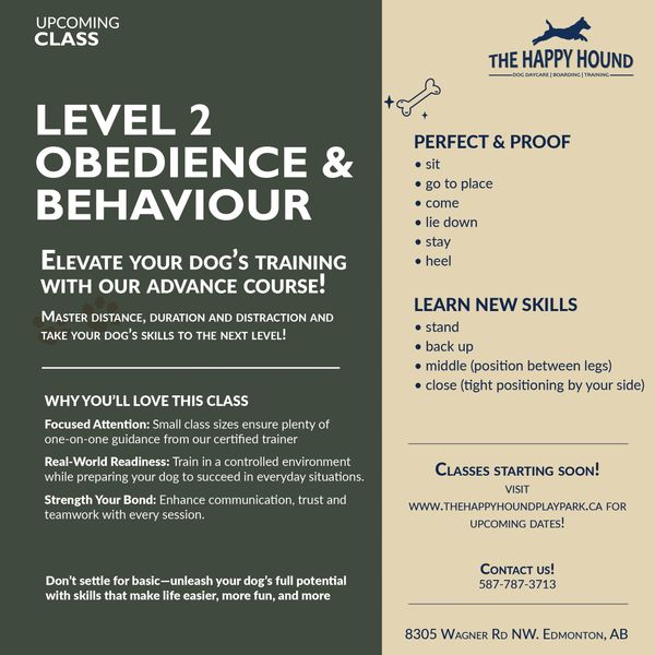 Level 2 Obedience Group Class Description