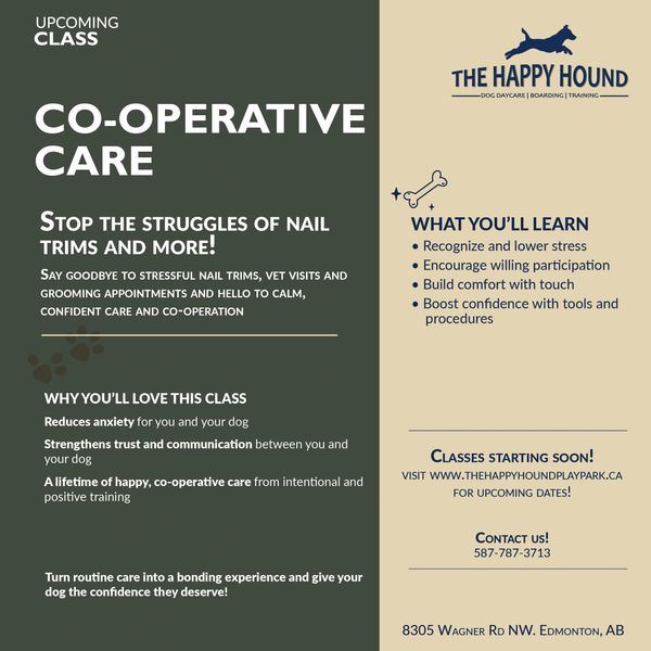 A promotion for a co-operative care dog training class