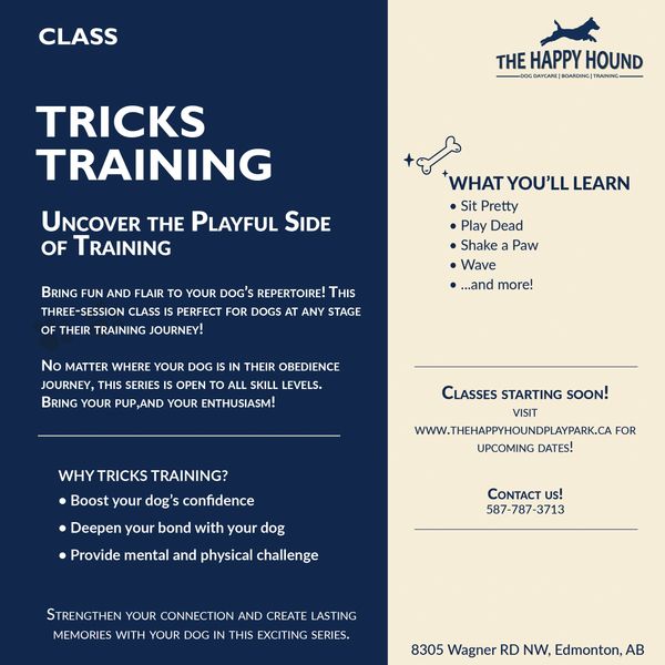A promotion for a tricks training class
