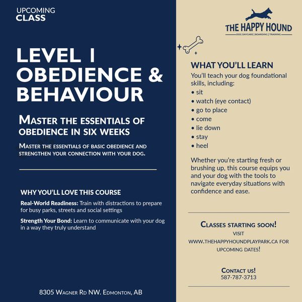 Level 1 Obedience Group Class Description
