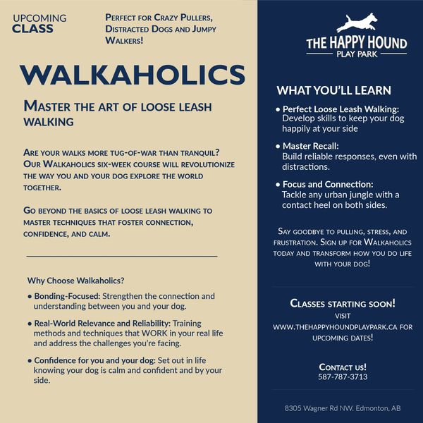 A promotion for a loose leash walking dog training class